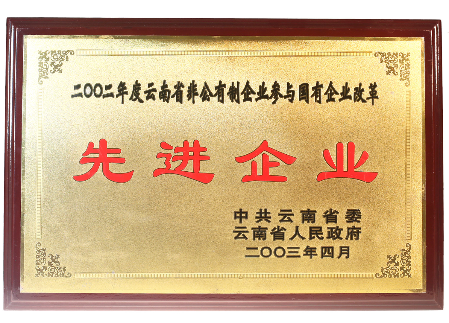 2003年被云南省政府授予“先進(jìn)企業(yè)”稱號(hào)